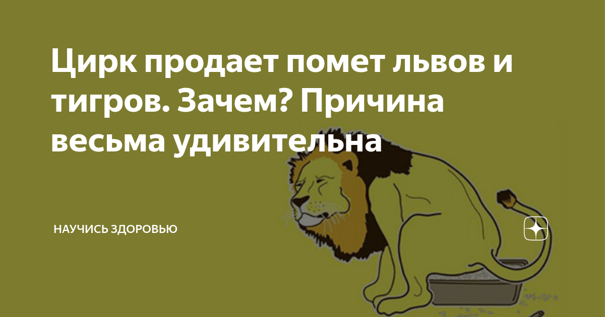 Qi шоу. Мем из сериала фарго. Шон лок. Стивен фрай топ гир. Стивен фрай хью лори и эмма томпсон.