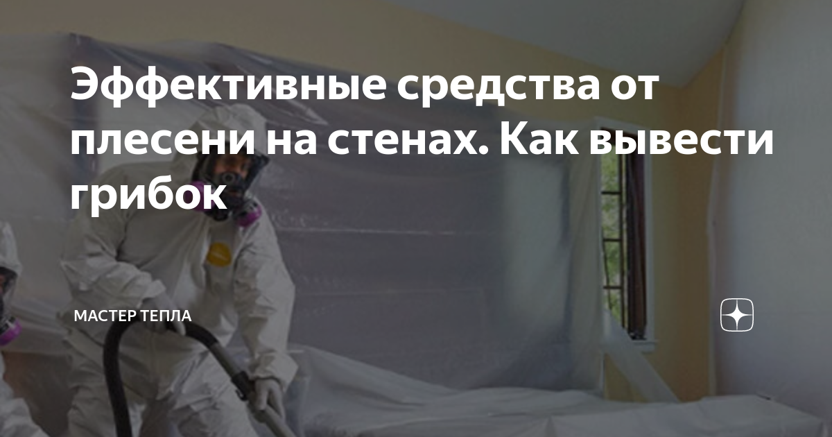 Эффективные средства от плесени на стенах. Как вывести грибок | Мастер ...