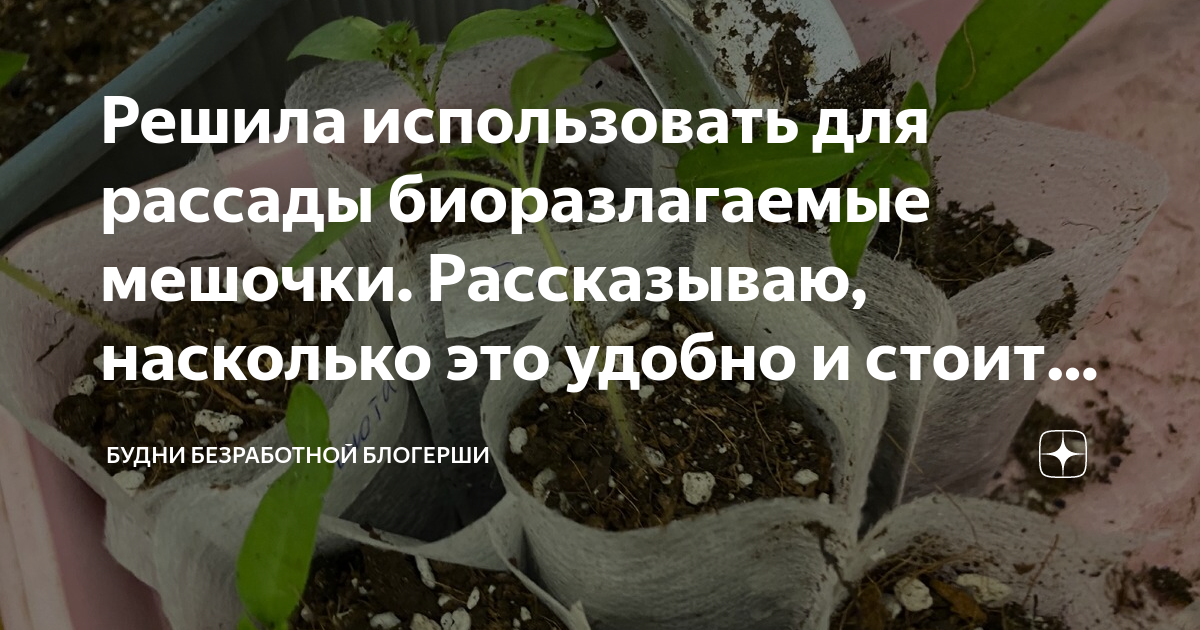 Решила использовать для рассады биоразлагаемые мешочки. Рассказываю ...