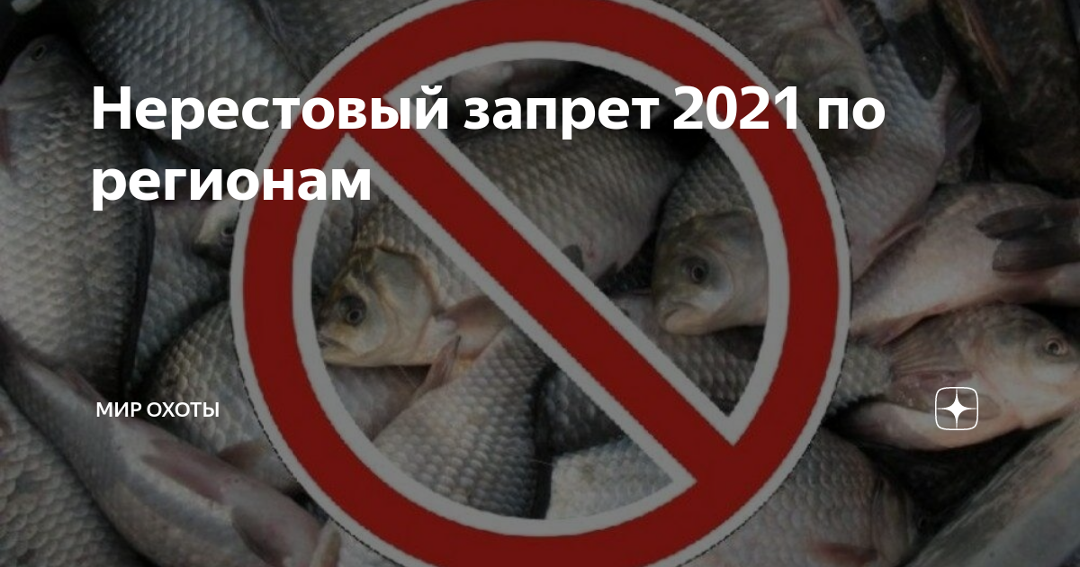 Нерестовый запрет 2025 в чувашии. Нерестовый запрет 2025 в чувашии