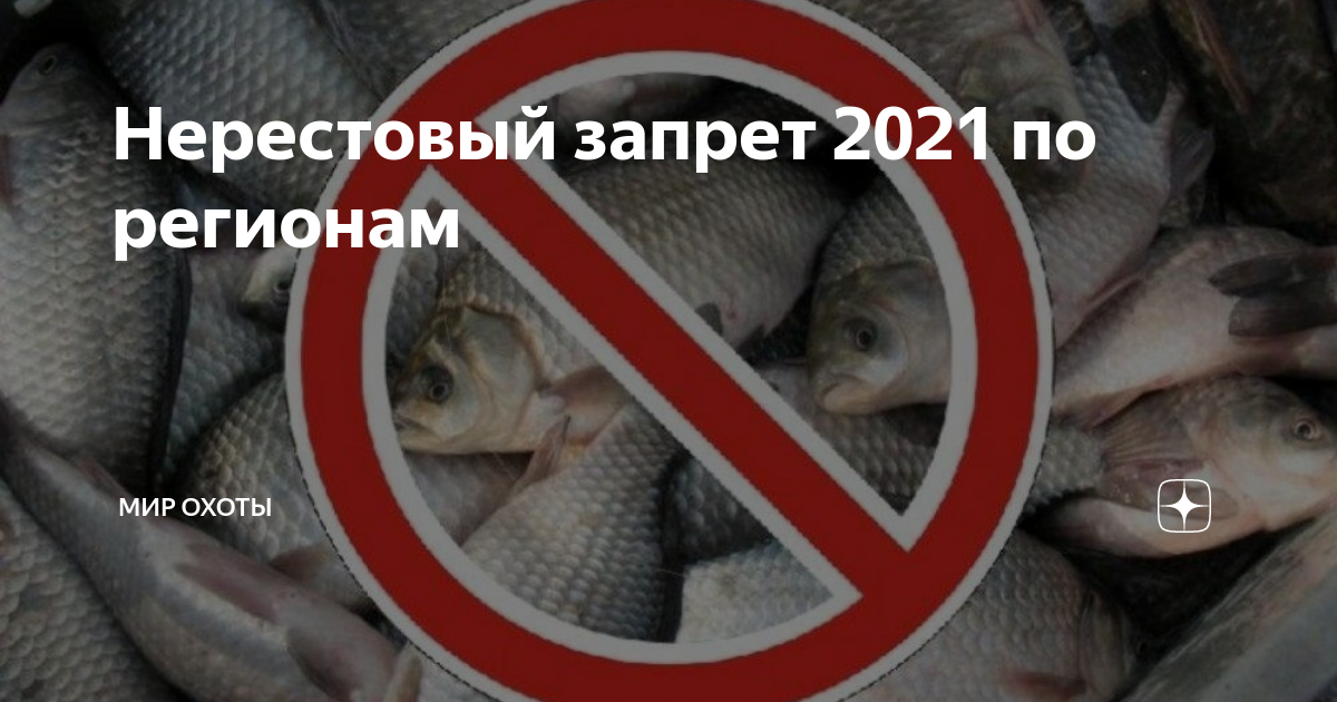 Нерестовый запрет 2024 в чувашии