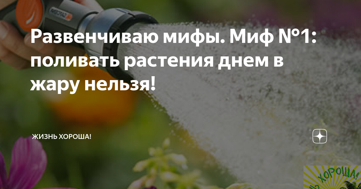 Почему нельзя поливать в жару. Почему нельзя поливать растения в жару. Почему растения нельзя поливать холодной водой. Почему нельзя поливать огород в жаркую погоду днем