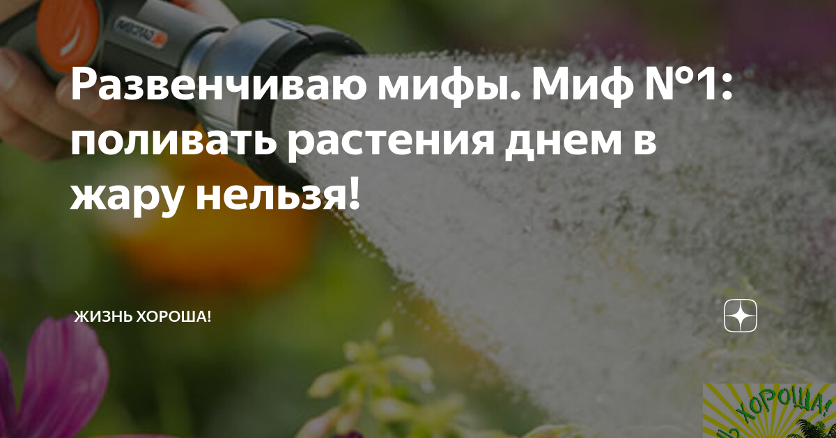 Почему нельзя поливать в жару. Почему нельзя поливать растения в жару. Почему нельзя поливать днем. Можно ли поливать в жаркую погоду днем.