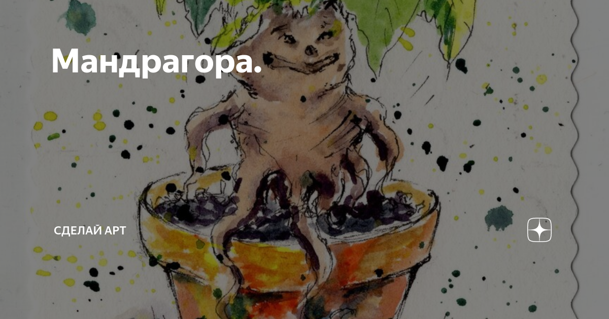 Мандрагора. | Сделай арт | Дзен