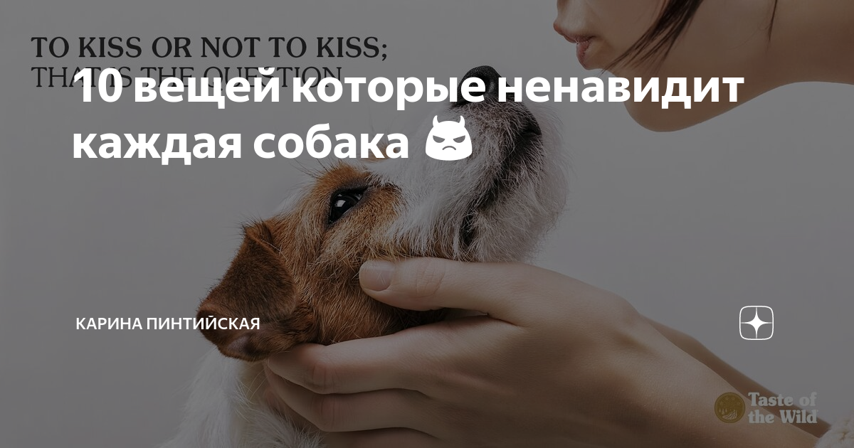 как называют людей которые не любят собак