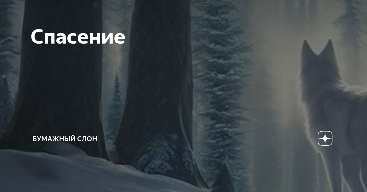 бумажный слон рассказы на дзен читать