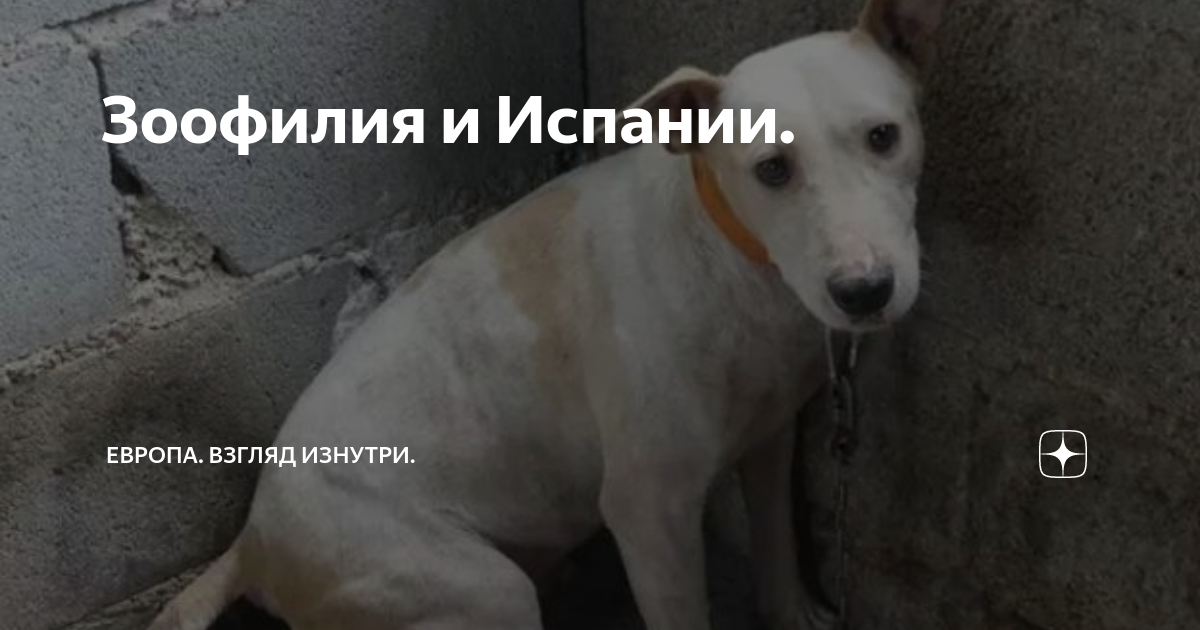Зоофилия и Испании. | Европа. Взгляд изнутри. | Дзен