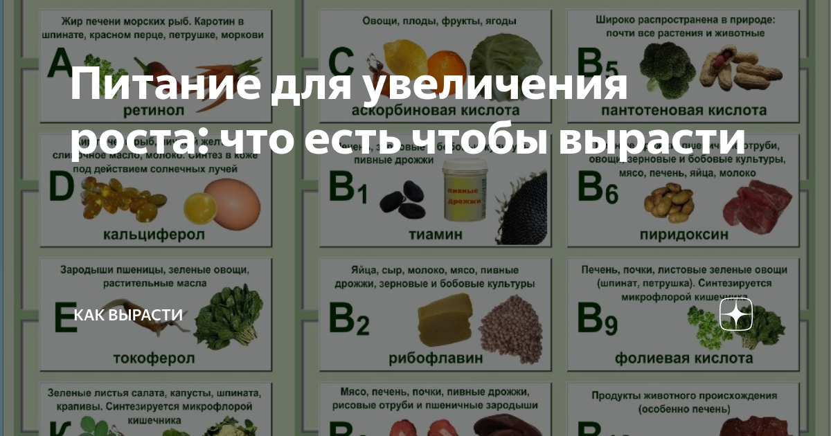 Топ-10 продуктов для увеличения роста