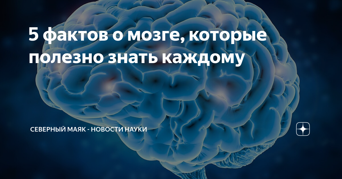 Японский тест на старение мозга картинка ответы
