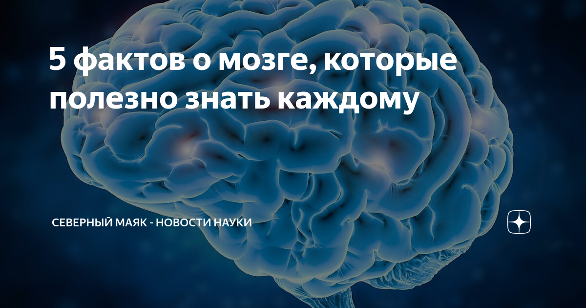 Мозг ответ. Тест на старение мозга. Японский тест на старение мозга. Тест на старение мозга картинки. 5 Фактов о мозге.