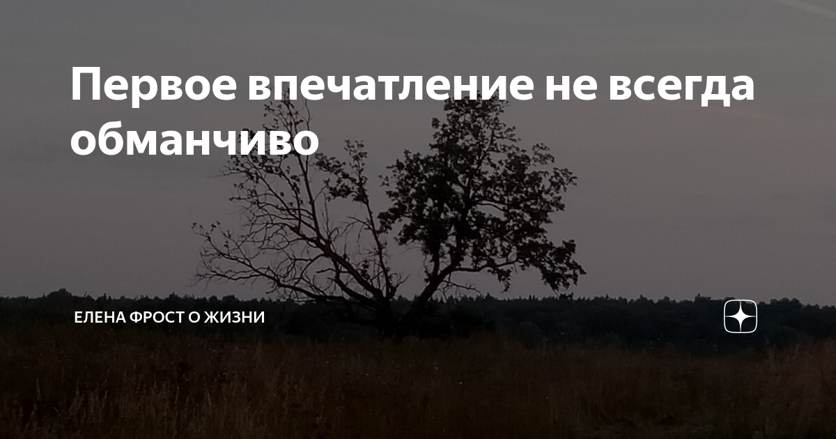 Первое впечатление обманчиво примеры из литературы