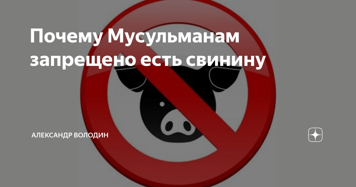 Почему мусульманам запрещено есть свинину. Почему нельзя есть свинину. Почему не едят свинину.