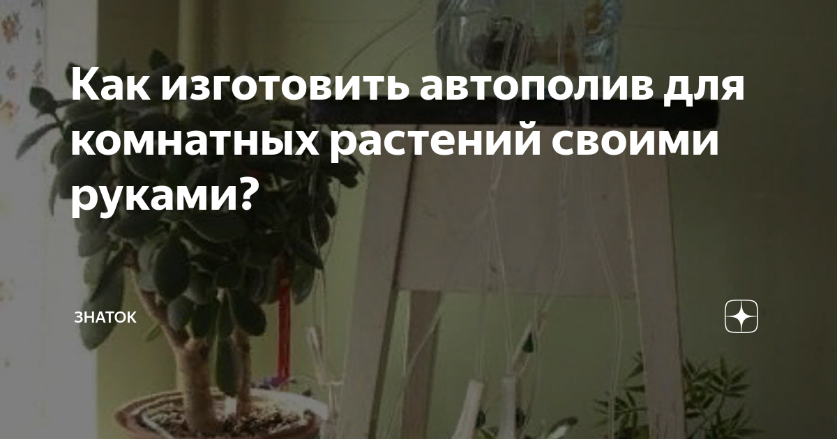 Автополив для комнатных растений