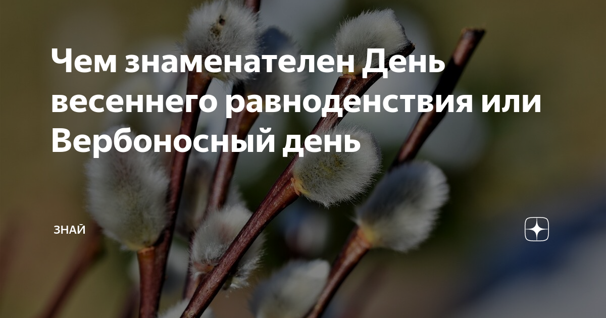 Когда наступит весеннее равноденствие в 2024 году. Весенний Солнцеворот Вербоносица. День вербы вешнее равноденствие. Весеннее равноденствие природа.