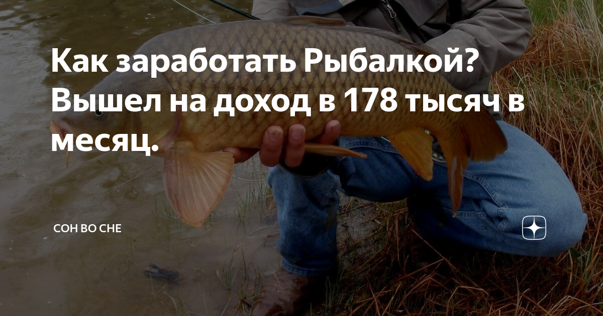 Охота на уток радмир крмп. Сколько можно заработать на рыбалке. Рыбалка амазинг рп. Сколько можно заработать на рыбалке. Бабы на рыбалке.