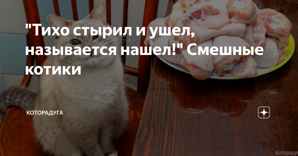 Называется нашел. Тихо стырил и ушёл. И ушел называется нашел. Тихо стырил и ушёл называется нашёл картинки. Смешная картинка тихо стырил и ушел называется нашел кот