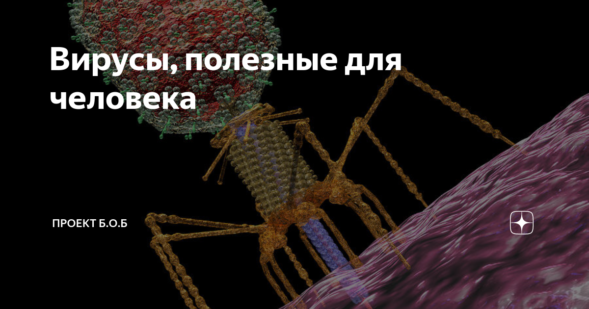 История опасный вирус. Полезные вирусы. Вирусы вредные для человека. Самые опасные вирусы человека. Самые опасные вирусы в мире для человека.