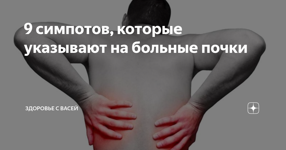 Как узнать болят почки или спина