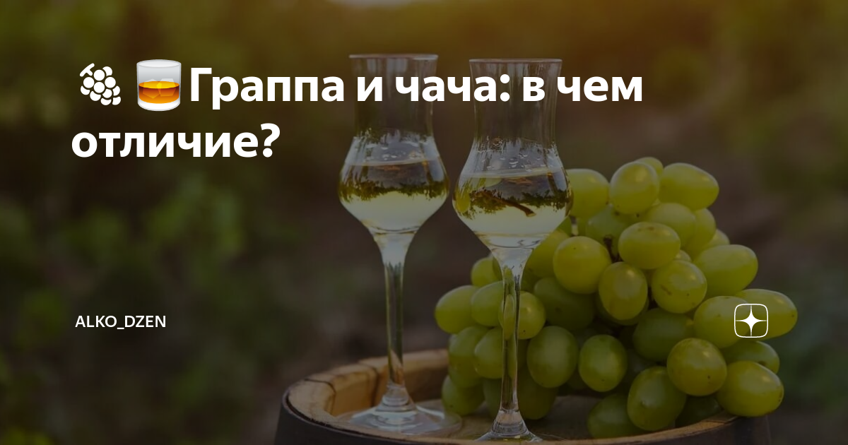 Как пить чачу. Чача граппа. Grappa чача 40. Чача Грузинская фото. Чача Тимашевск