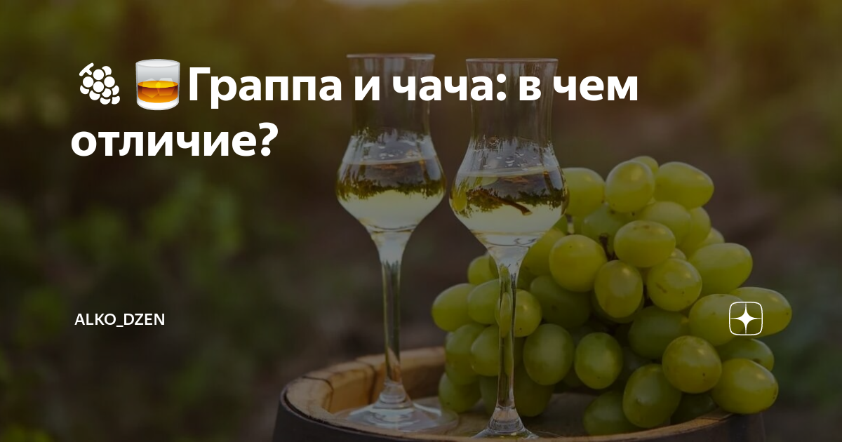 Как пить чачу. Чача граппа. Grappa чача 40. Чача Грузинская фото. Чача Тимашевск.