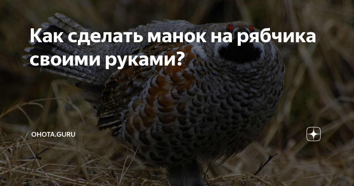 Как сделать манок на рябчика своими руками?