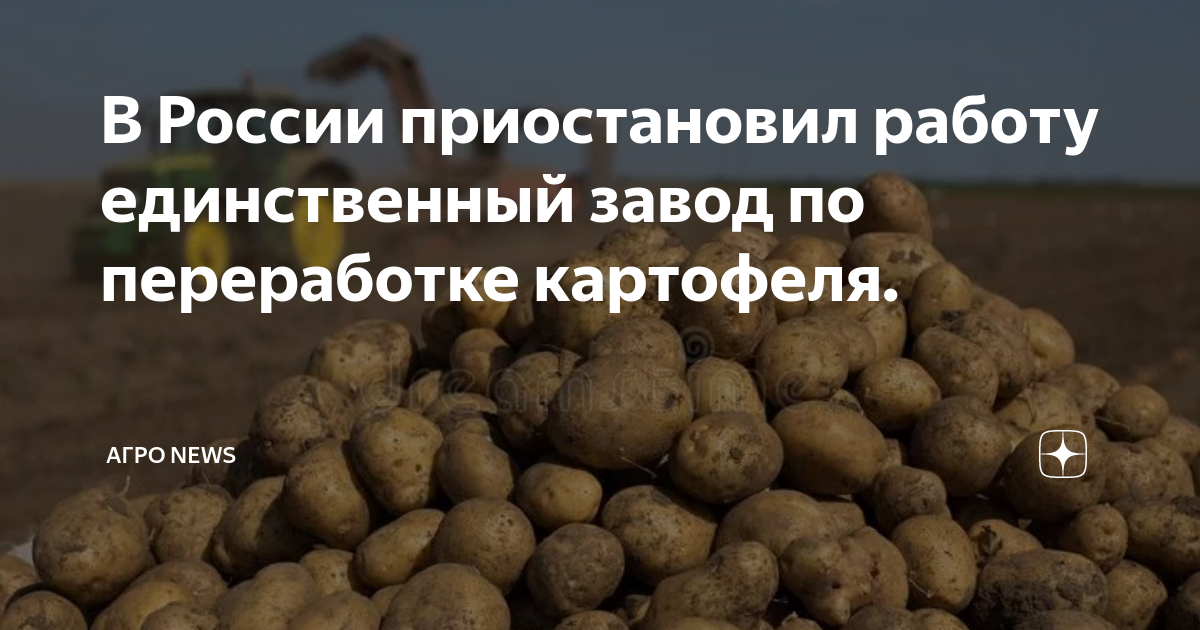 Отход картофеля. Нехватка бора у картофеля. дефицит бора у картофеля.