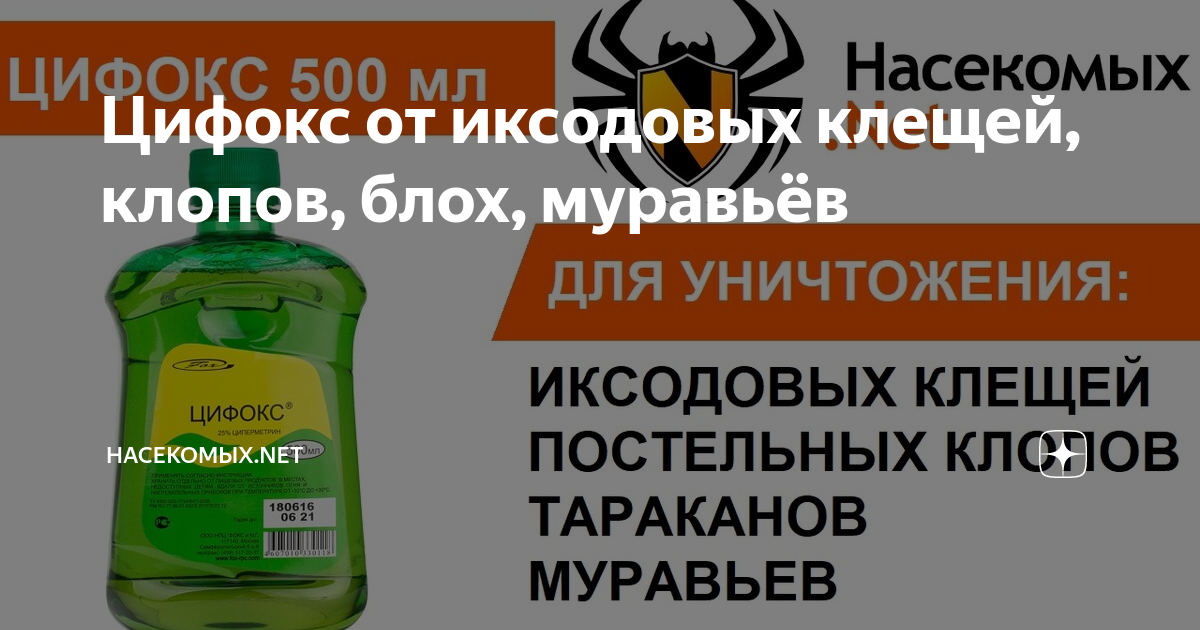 Цифокс от иксодовых клещей, клопов, блох, муравьёв | Насекомых.Net | Дзен