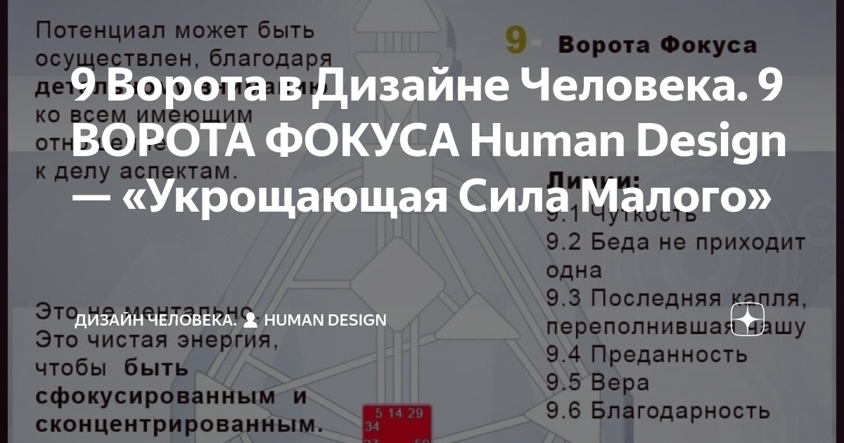 Моторы в дизайне человека