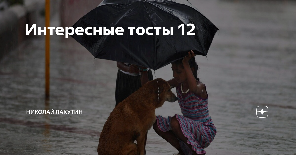 Интересные истории дзен. Дзен рассказы о жизни Веселые. Жизненные истории дзен читать.