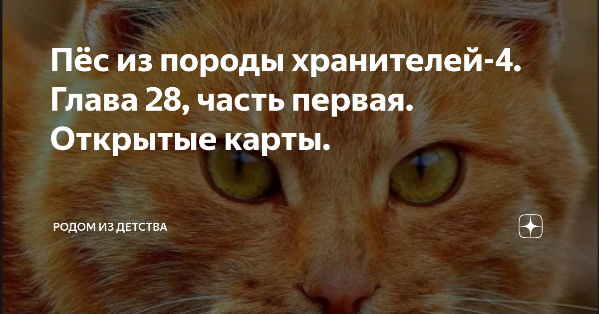 Пёс из породы хранителей-4. Глава 28, часть первая. Открытые карты ...