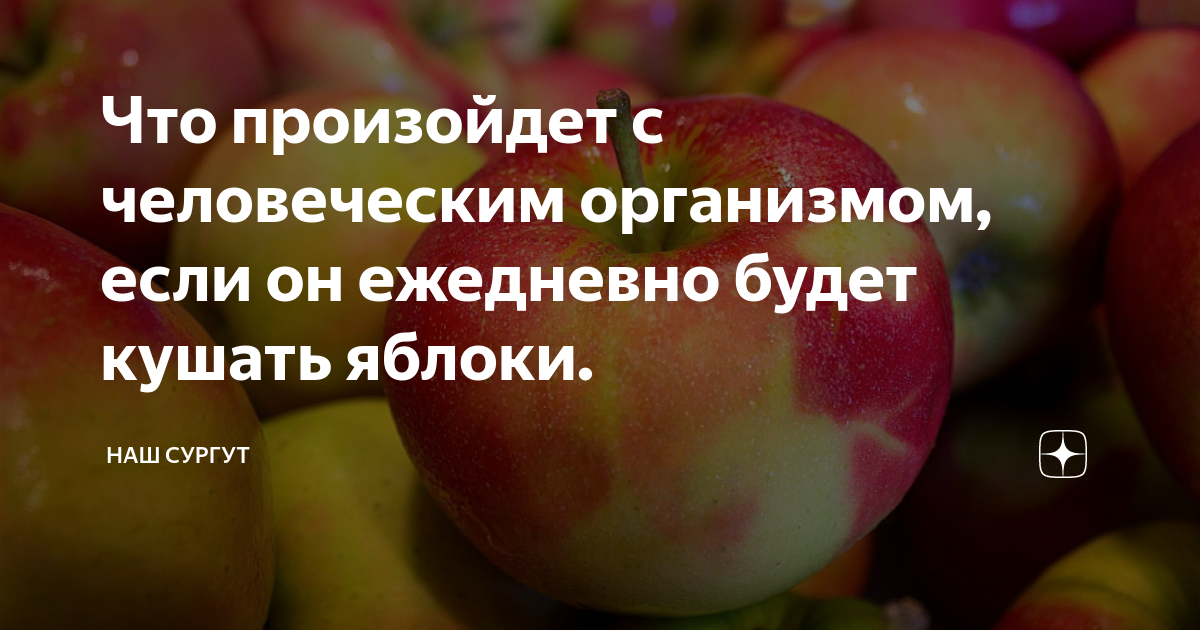 Если есть одно яблоко в день. Скушай яблочко. Когда лучше кушать яблоки. Что будет если каждый день есть яблоки. Что будет если в день съесть 4 яблока.