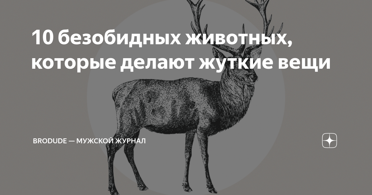 значение зоологических знаний. редкие домашние животные. безвредные животные для человека.