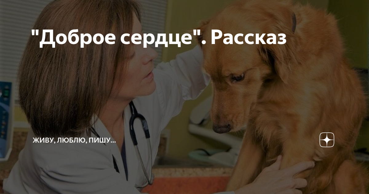 "Доброе сердце". Рассказ | Живу, люблю, пишу... | Дзен