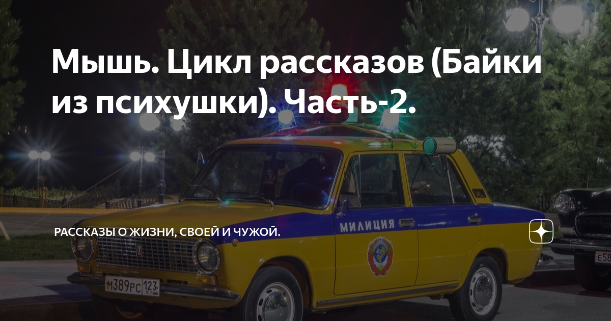 Мышь. Цикл рассказов (Байки из психушки). Часть-2. | Рассказы о жизни ...
