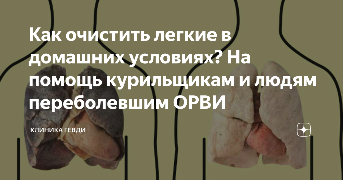 Очистить легкие можно с помощью народных средств — События Центра «БЕХТЕРЕВ»