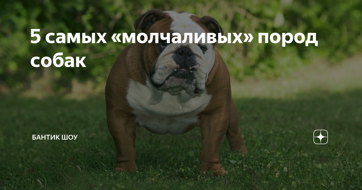 самый молча