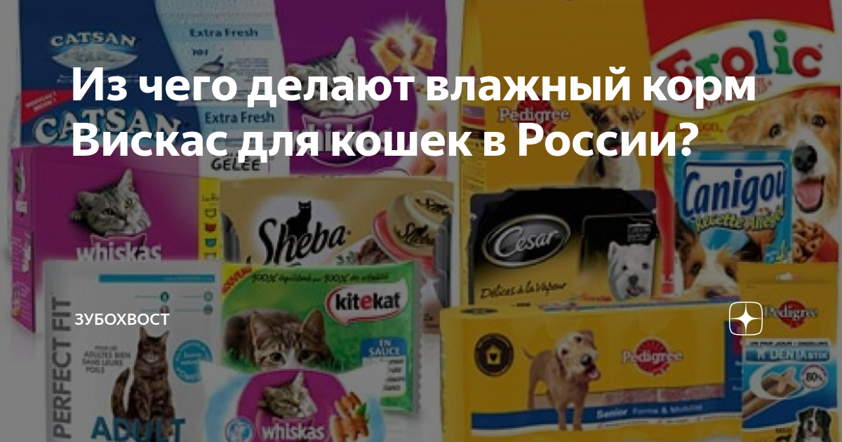 Из чего делают влажный корм Вискас для кошек в России? | Зубохвост | Дзен