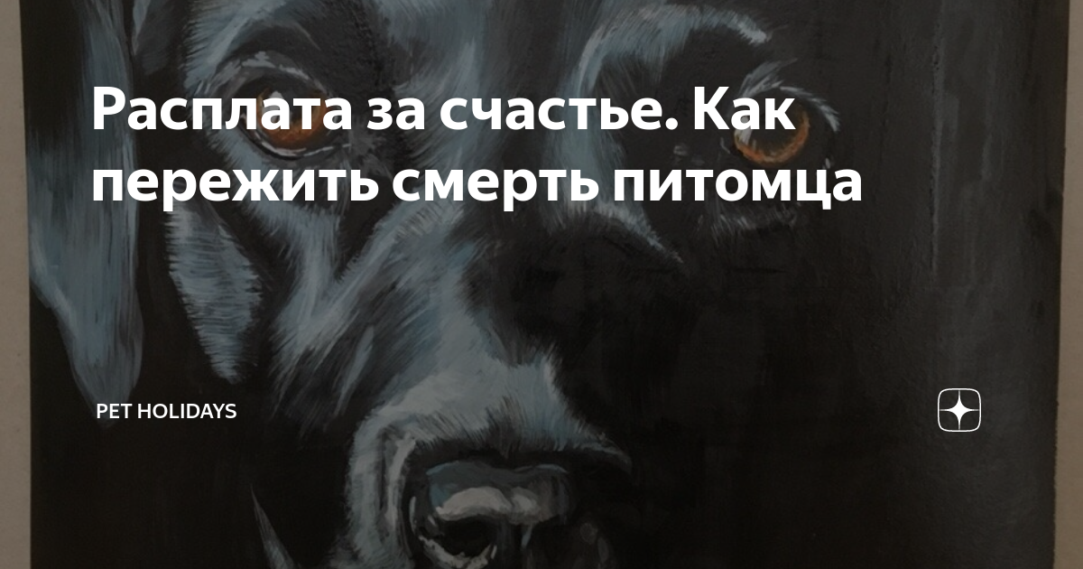 Как справиться со смертью питомца. Потеря домашнего питомца кота. Смерть любимого кота. Смерть любимой кошки. Потеря любимого питомца.