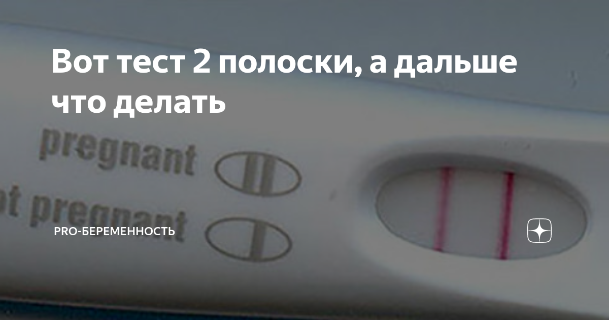 Wit тест. Wit тест