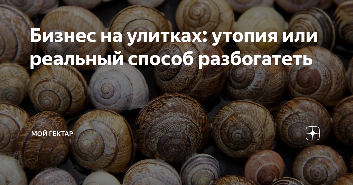 Гектар на оке