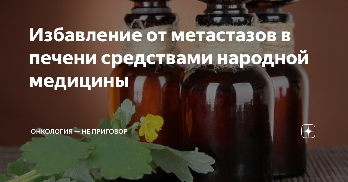 Народные средства от онкологии. Народные средства от метастаз. Народные средства от печени. Печень и народная медицина.