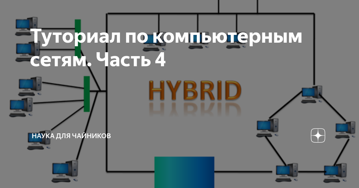 Где можно пройти практику студенту по компьютерным сетям