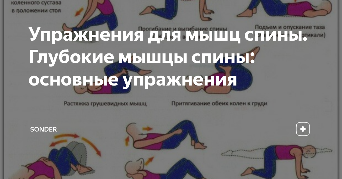 Упражнения на проработку глубоких мышц спины. Упражнения для глубоких мышц поясницы. Упражнения для паравертебральных мышц спины. Упражнения на глубокие мышцы позвоночника.