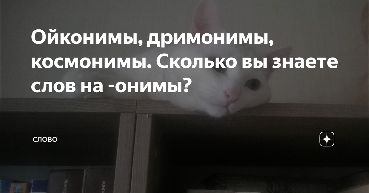 Ойконимы, дримонимы, космонимы. Сколько вы знаете слов на -онимы ...