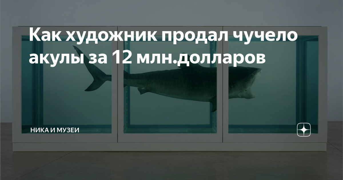 Как художник продал чучело акулы за 12 млн.долларов | Ника и музеи | Дзен
