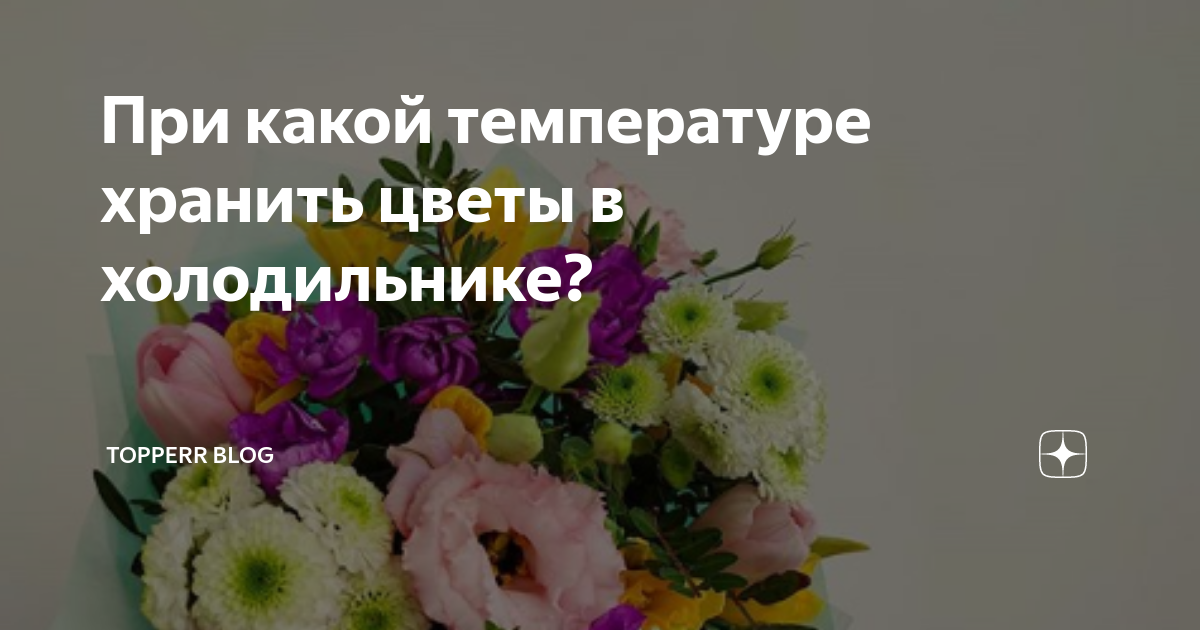 При какой температуре хранить цветы на балконе. Правила ухода за букетом. Инструкция по уходу за букетом. Температура хранения срезанных цветов.