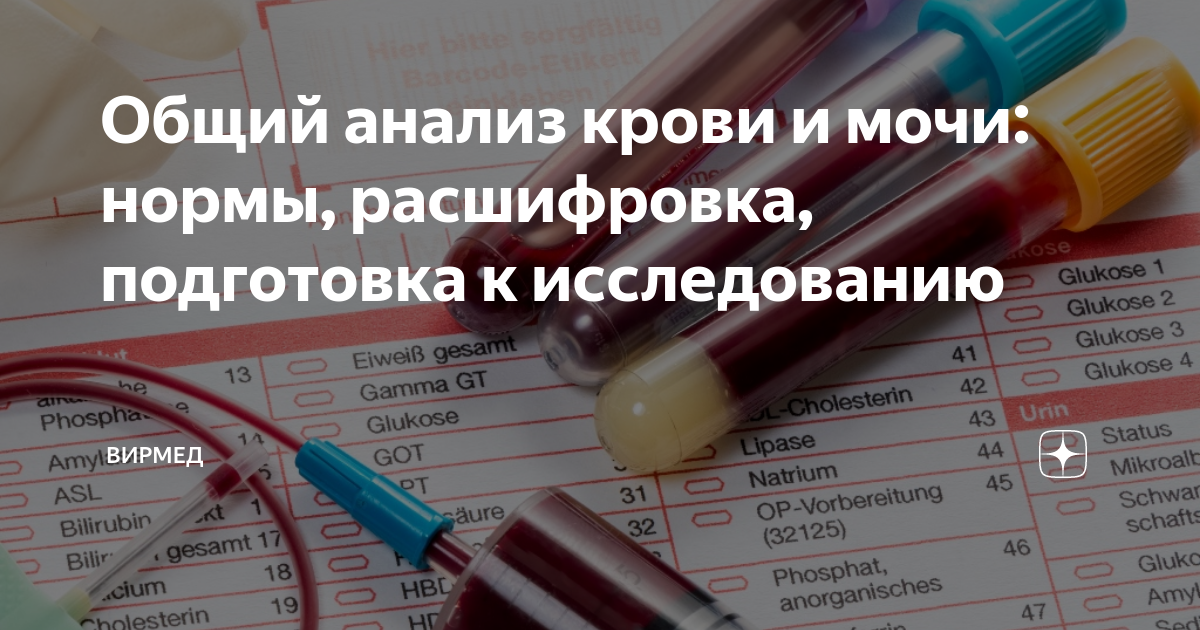 Где можно побыстрей сделать анализ