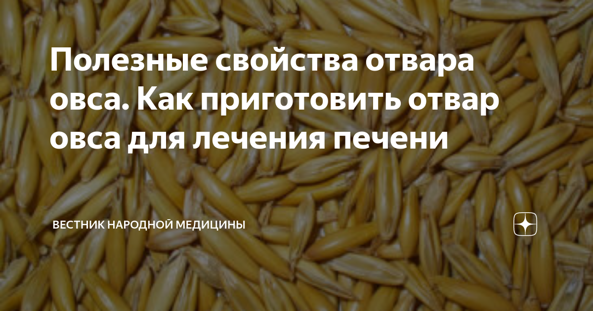 Овес в упаковке. Овёс полезные качества. Чем полезен овес для женщин. Овес для организма. Чем полезен овес для женщин.
