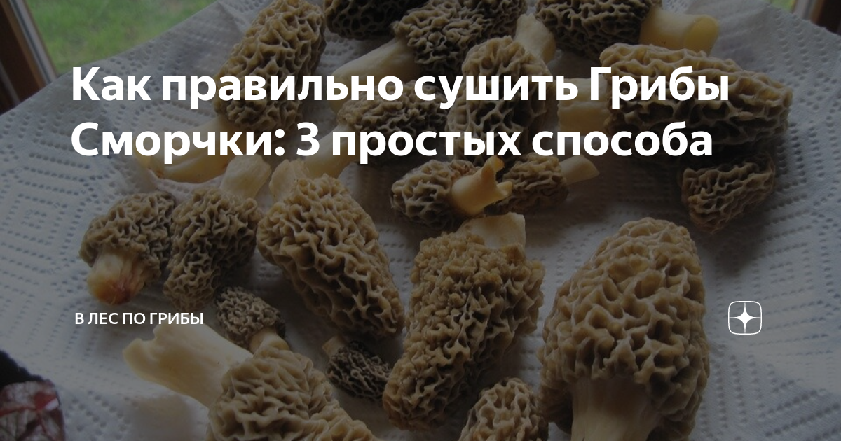 как сушить грибы сморчки