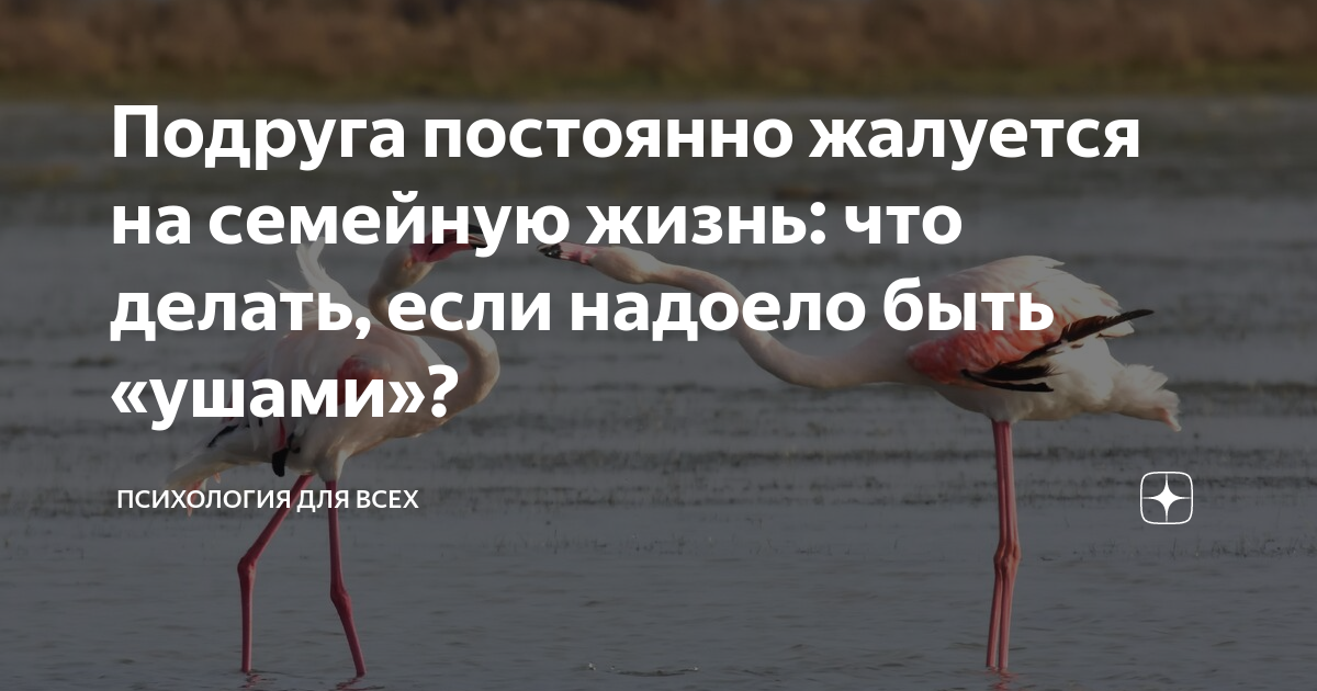 Анекдот кто по праздникам стирает. Сострадание эмоция. Шутки про стирку. Подруга постоянно жалуется. Анекдот про стирку.